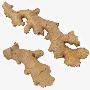 3D Ginger Set 01 model