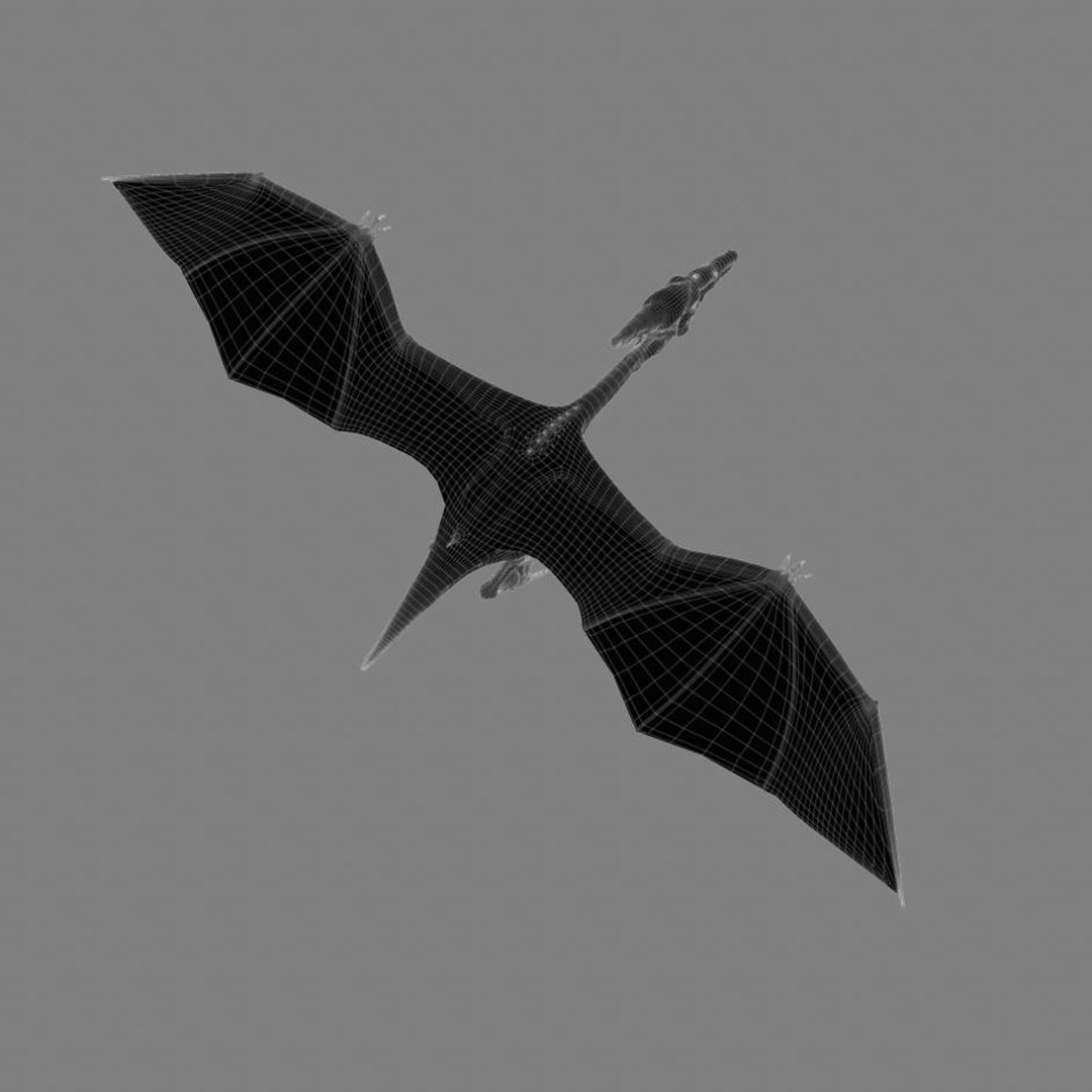 3d model pterodactyl https://p.turbosquid.com/ts-thumb/eg/sAfyGq/CQMNbiWp/camera9line.1/jpg/1328640120/1920x1080/fit_q87/de680fea49241443d3491b3d15f63ce3ba6c1412/camera9line.1.jpg
