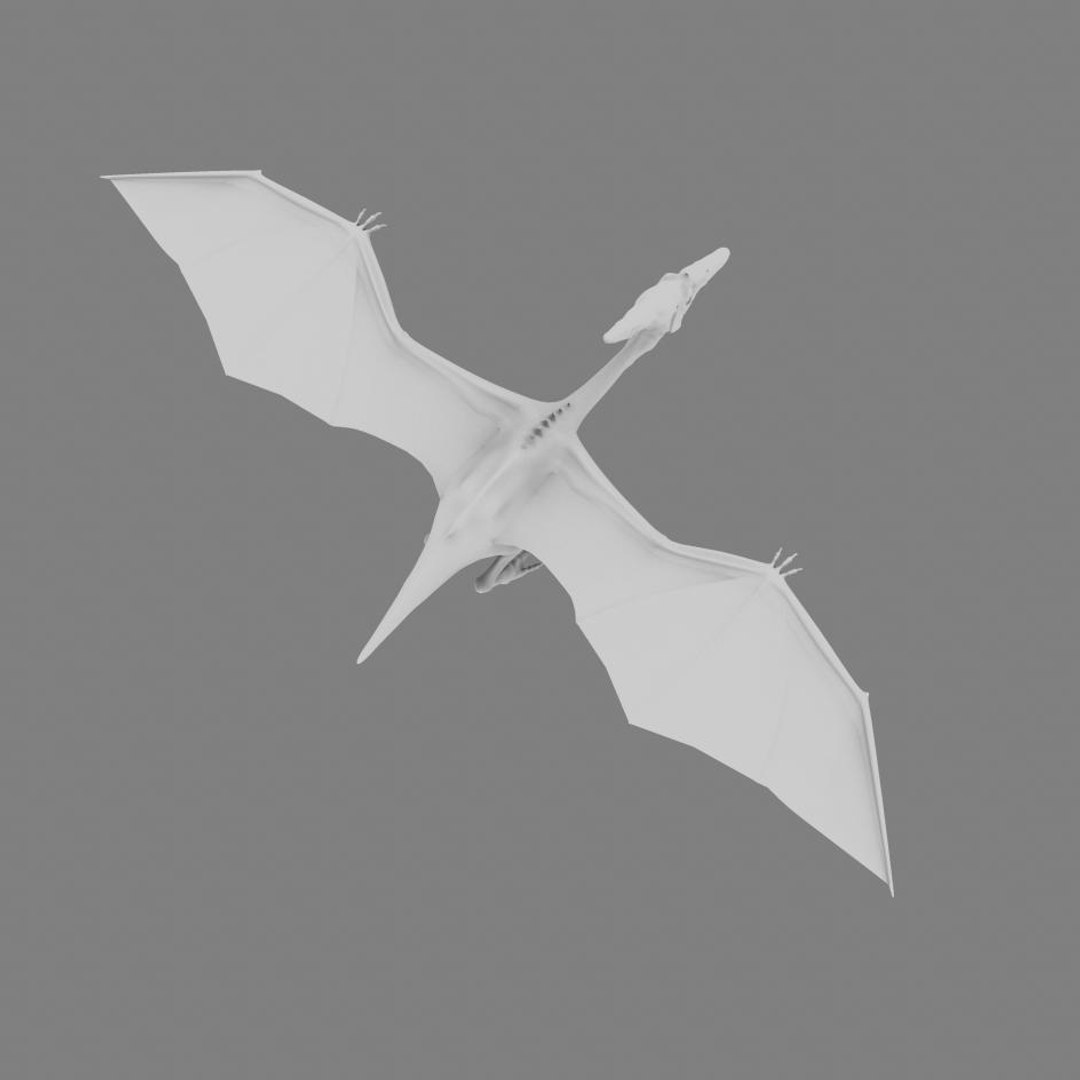 3d Model Pterodactyl