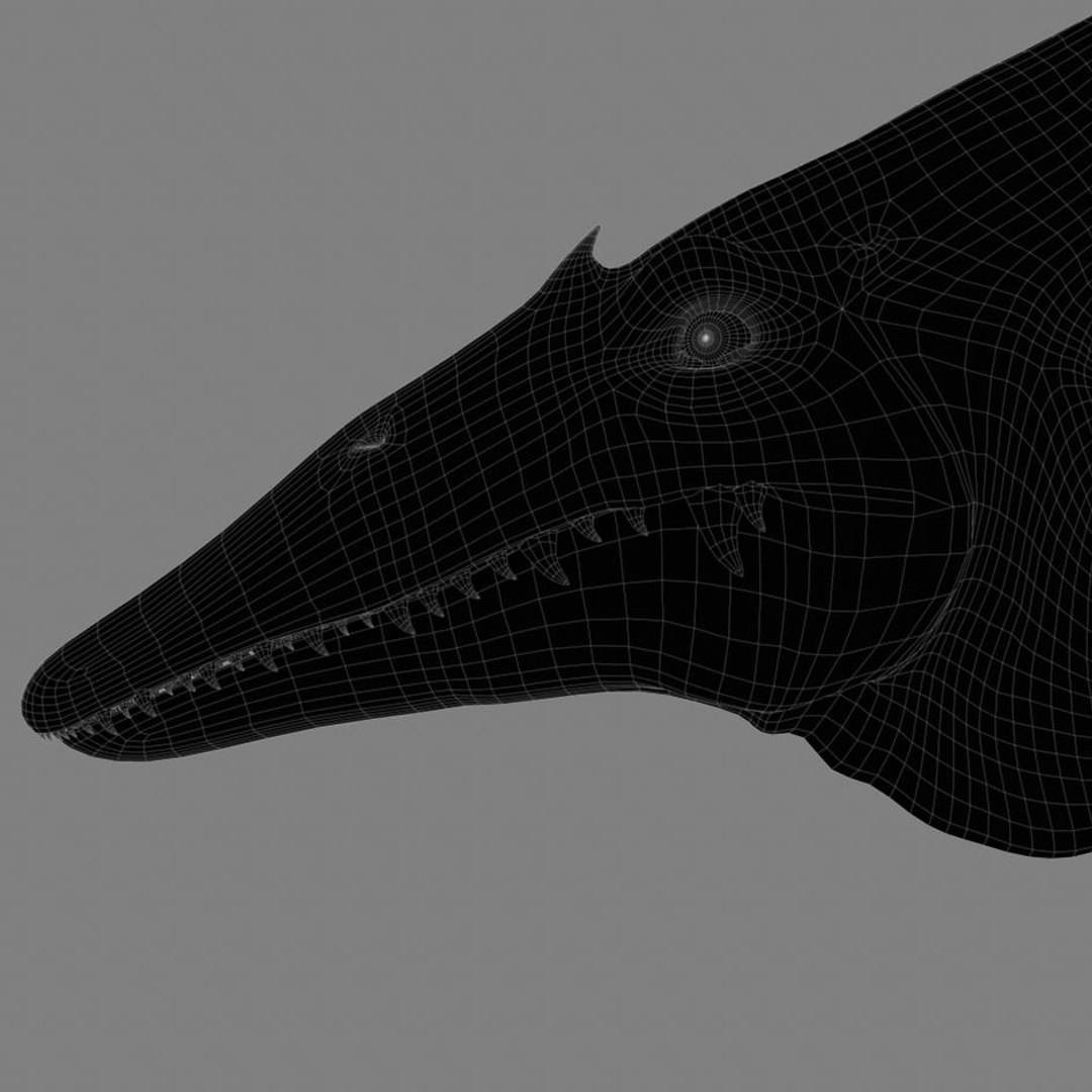 3d model pterodactyl https://p.turbosquid.com/ts-thumb/eg/sAfyGq/dvnpIvXS/camera13line.1/jpg/1328640120/1920x1080/fit_q87/cf61c520fd02ec975492bfa2193ddd846e8d23ef/camera13line.1.jpg