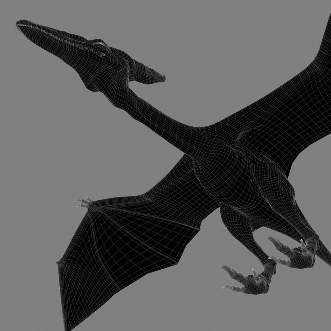 3d model pterodactyl https://p.turbosquid.com/ts-thumb/eg/sAfyGq/qGo45iRM/camera10line.1/jpg/1328640120/1920x1080/fit_q87/5079459f028e3b2484ed6b480a41b90e8e4f08c3/camera10line.1.jpg
