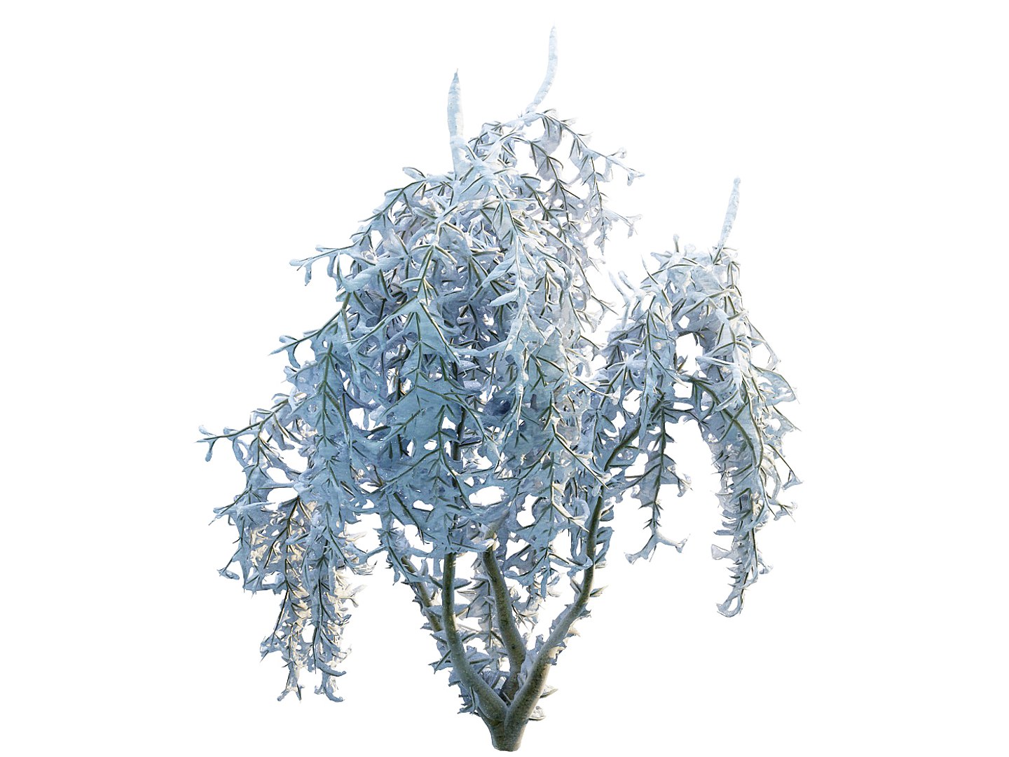 3d Frozen Tree Pack 4