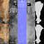 Camelo Bactriano Rigged Xgen