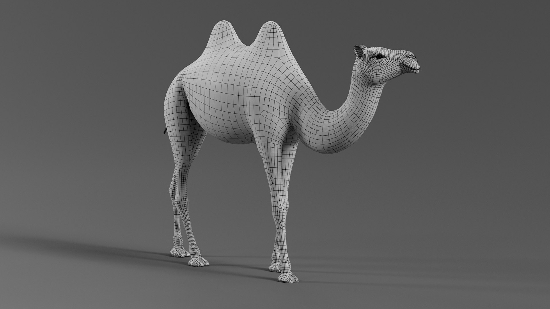 Bactrian Camel Rigged Xgen 3D https://p.turbosquid.com/ts-thumb/eh/BPKLci/sv/camel_b_31/jpg/1759736328/1920x1080/fit_q87/70221f2ae892f1d71368146a4f4ea1babe3b299e/camel_b_31.jpg