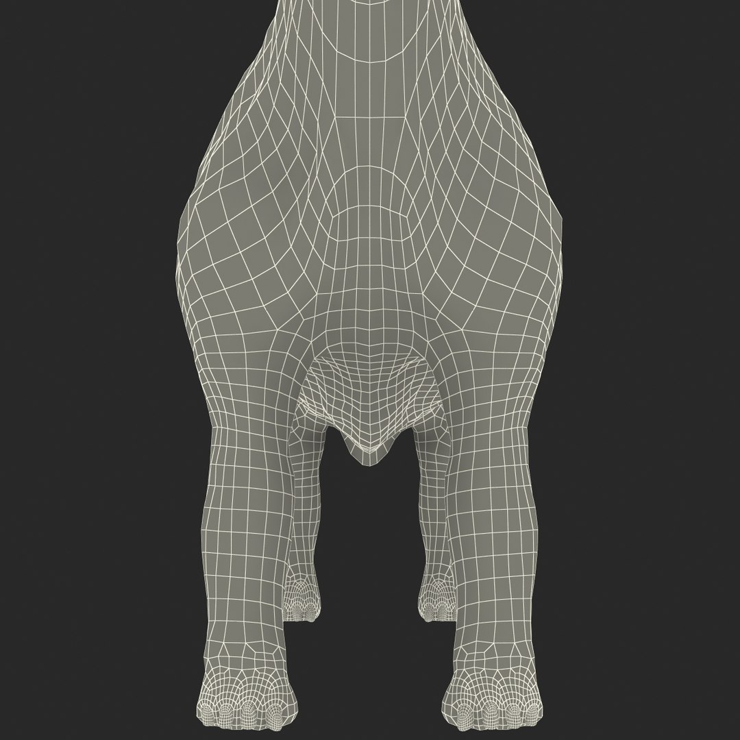 3d brachiosaurus rigged model https://p.turbosquid.com/ts-thumb/eh/EgBjNI/0C0bty85/brachiosaurusrigged_212/jpg/1395775645/1920x1080/fit_q87/b9462562a3e2594a11ff6b9682e8993f1ed56cee/brachiosaurusrigged_212.jpg