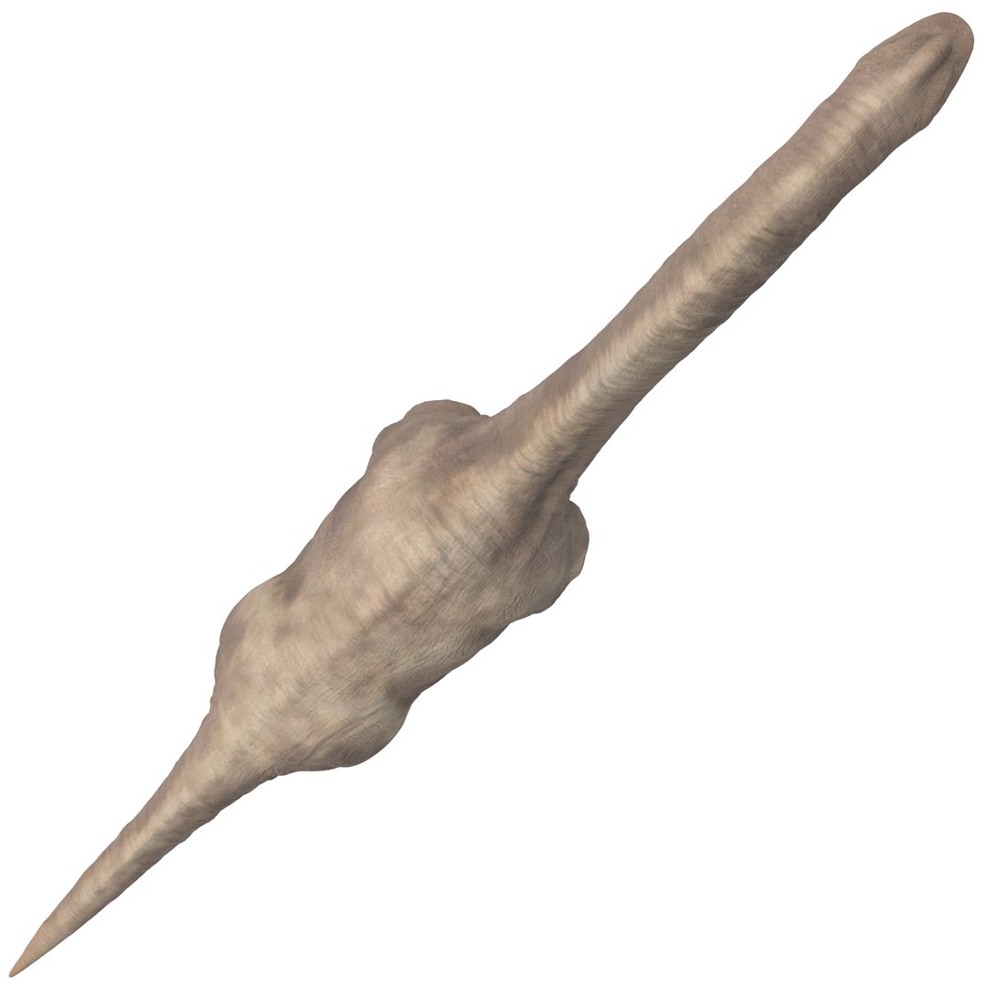 3d brachiosaurus rigged model https://p.turbosquid.com/ts-thumb/eh/EgBjNI/2y7IBKja/brachiosaurusrigged_15/jpg/1395775089/1920x1080/fit_q87/60f58efc2914d6fe2b5dfeaed74f23e8186f1f14/brachiosaurusrigged_15.jpg