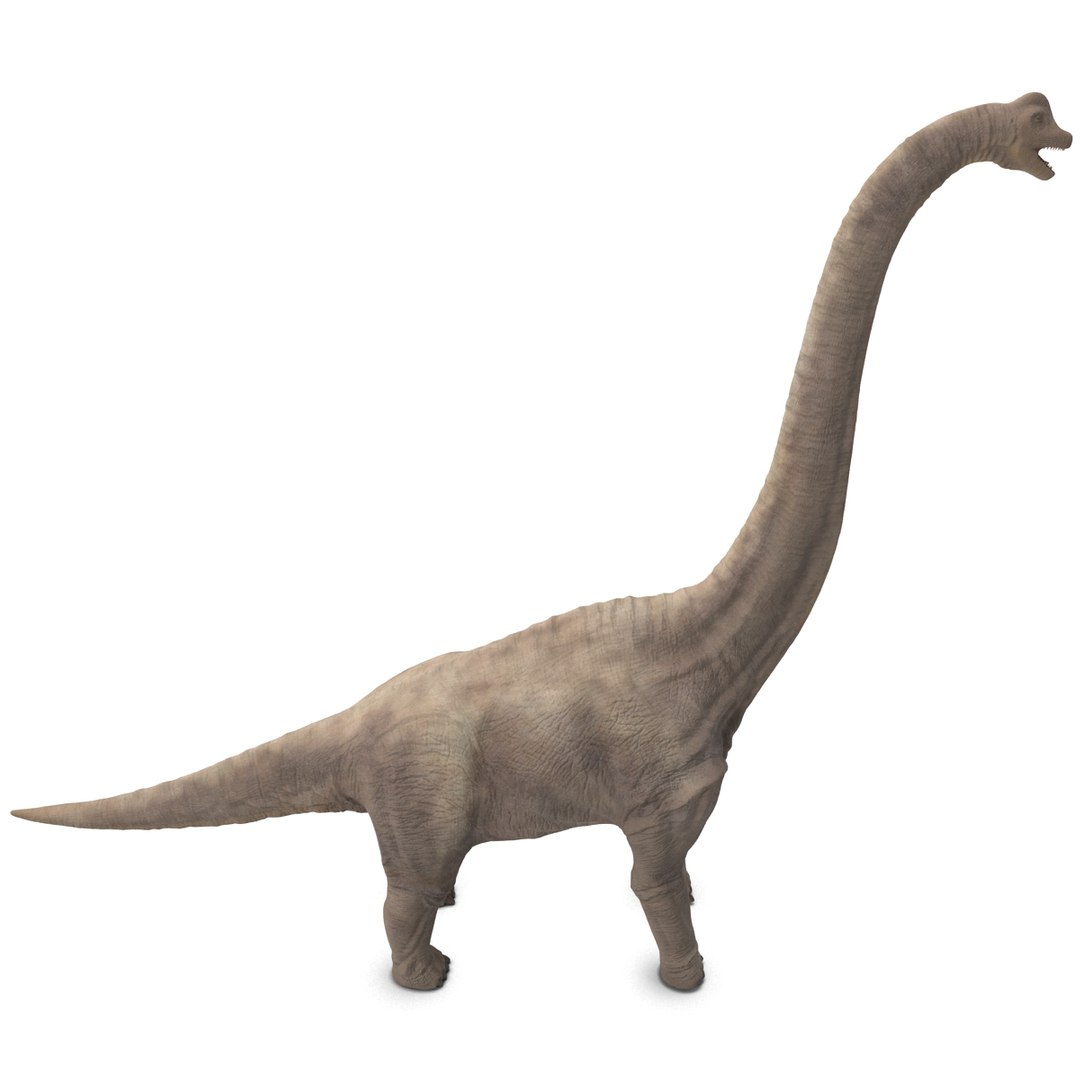 3d brachiosaurus rigged model https://p.turbosquid.com/ts-thumb/eh/EgBjNI/3ujO4FsC/brachiosaurusrigged_11/jpg/1395775072/1920x1080/fit_q87/03cf56f716c70fc8c5502fd797f5c5411081b1da/brachiosaurusrigged_11.jpg