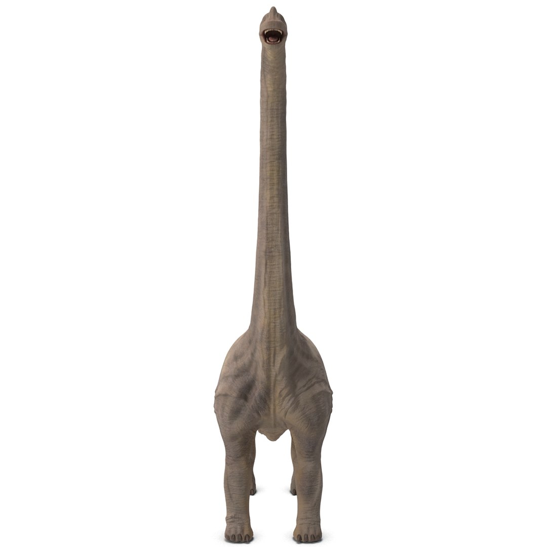 3d brachiosaurus rigged model https://p.turbosquid.com/ts-thumb/eh/EgBjNI/5TWCZGVO/brachiosaurusrigged_9/jpg/1395775066/1920x1080/fit_q87/a0ee496503927c5ceef143c6d95fc81e87a2c772/brachiosaurusrigged_9.jpg
