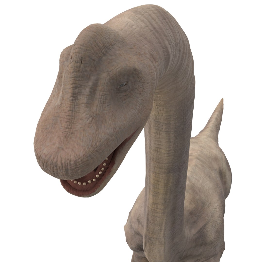 3d brachiosaurus rigged model https://p.turbosquid.com/ts-thumb/eh/EgBjNI/69HTjuec/brachiosaurusrigged_47/jpg/1395775193/1920x1080/fit_q87/9acef8e556d01828c8ce98b4ef4760cd8f019d86/brachiosaurusrigged_47.jpg