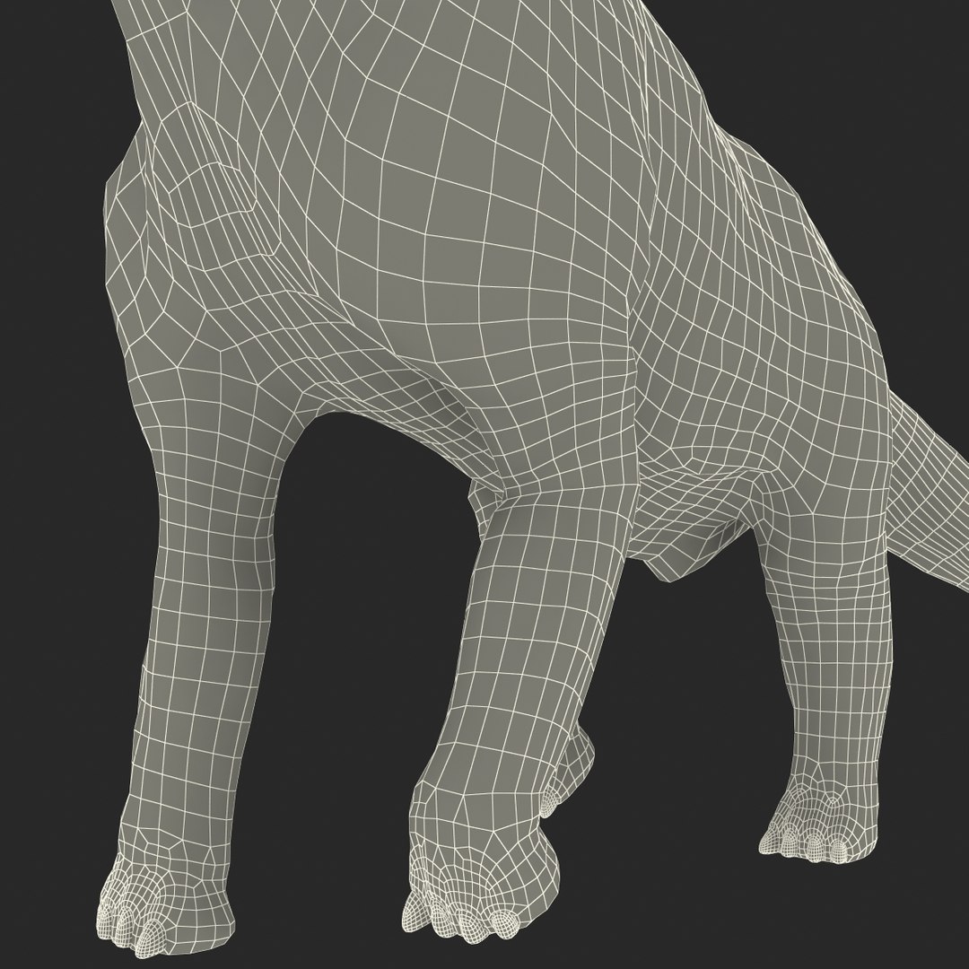 3d brachiosaurus rigged model https://p.turbosquid.com/ts-thumb/eh/EgBjNI/69j2k9f2/brachiosaurusrigged_209/jpg/1395775635/1920x1080/fit_q87/205f528e8764cf92b5dfeae5176ca12ae0509a90/brachiosaurusrigged_209.jpg
