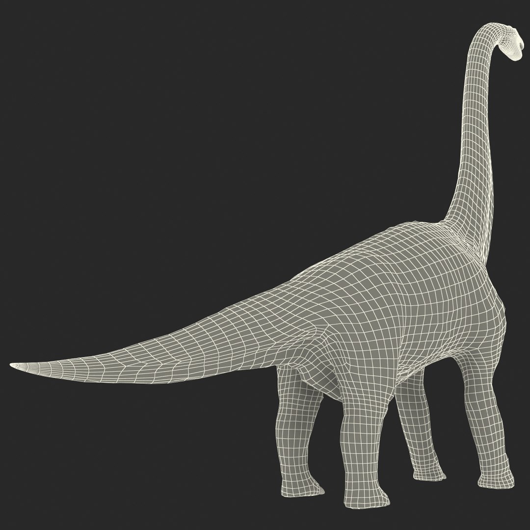 3d brachiosaurus rigged model https://p.turbosquid.com/ts-thumb/eh/EgBjNI/6zTaWeAw/brachiosaurusrigged_201/jpg/1395775616/1920x1080/fit_q87/fd9560cd869c57a84066f13c72521268ea242d1a/brachiosaurusrigged_201.jpg