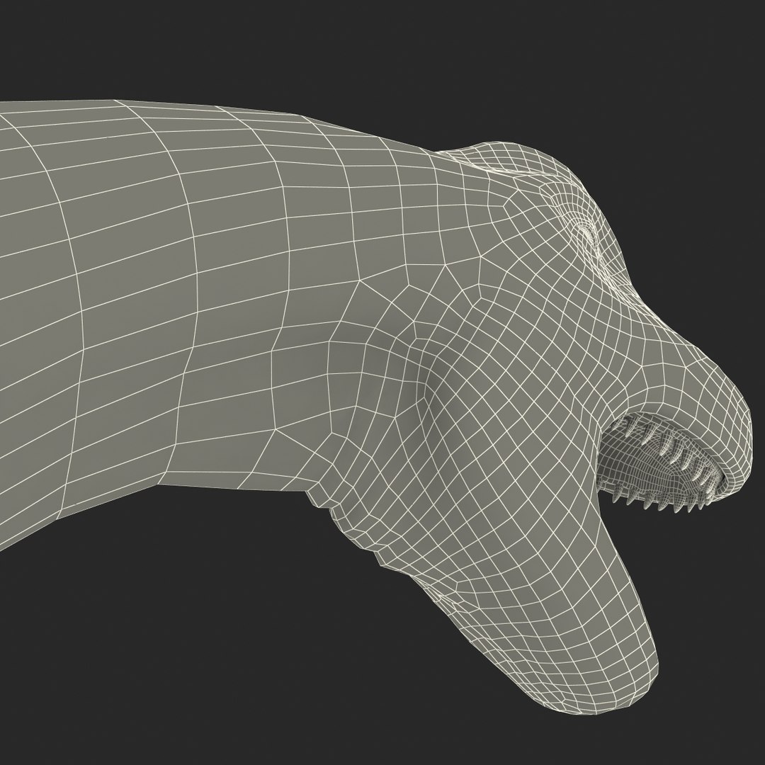 3d brachiosaurus rigged model https://p.turbosquid.com/ts-thumb/eh/EgBjNI/7WqBVZh5/brachiosaurusrigged_217/jpg/1395775660/1920x1080/fit_q87/bd96758d5dd3cce66f7d4de337bd664303583d46/brachiosaurusrigged_217.jpg