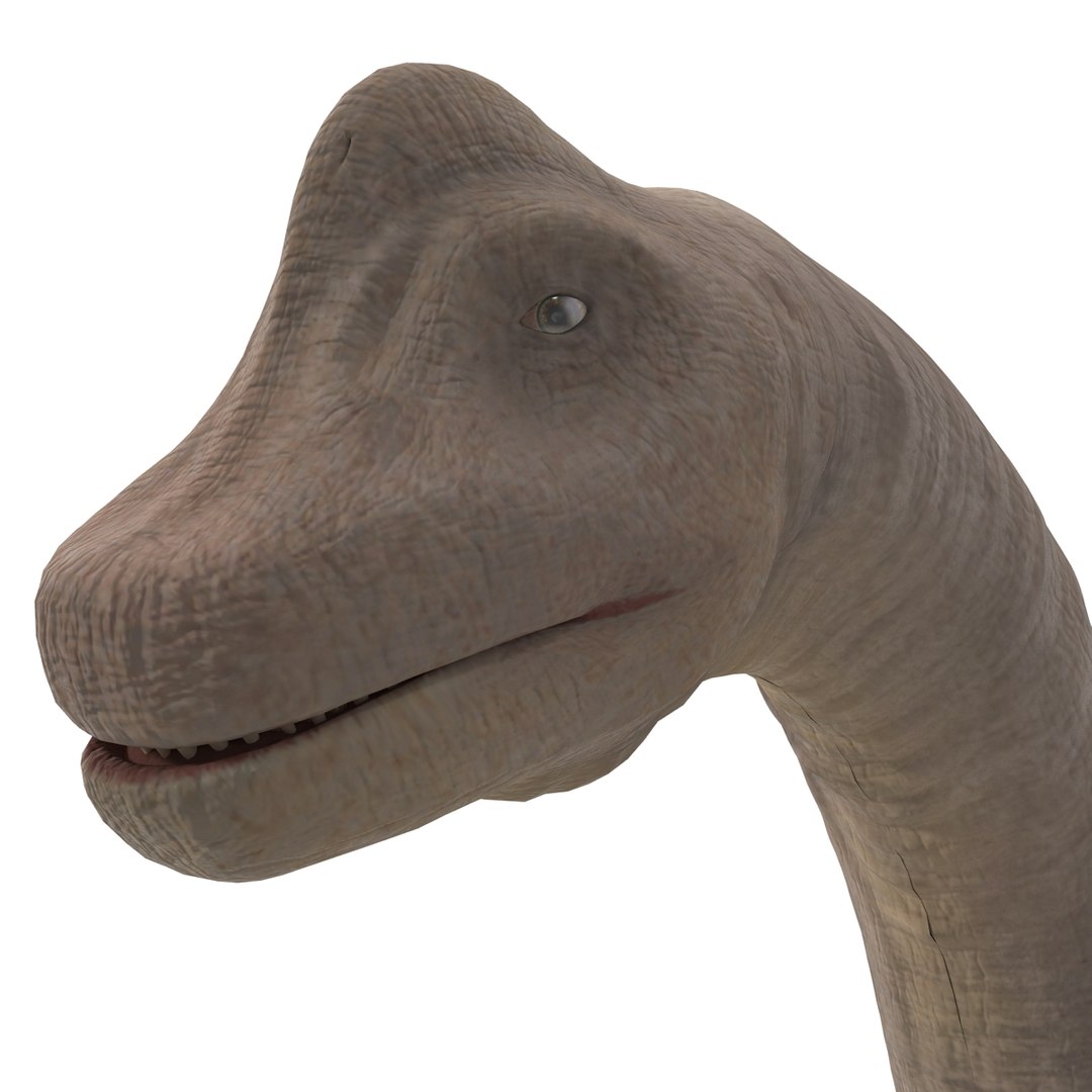 3d brachiosaurus rigged model https://p.turbosquid.com/ts-thumb/eh/EgBjNI/B4J3lKjc/brachiosaurusrigged_42/jpg/1395775179/1920x1080/fit_q87/bf0c7a3235ca7328dfee9ada0274dba60b0d9194/brachiosaurusrigged_42.jpg