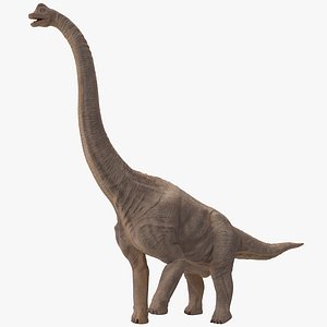 3d brachiosaurus rigged model