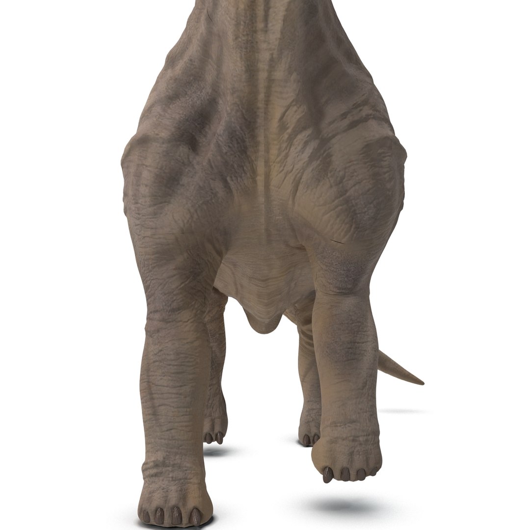 3d brachiosaurus rigged model https://p.turbosquid.com/ts-thumb/eh/EgBjNI/C8mW2Rtp/brachiosaurusrigged_39/jpg/1395775172/1920x1080/fit_q87/84bb7033c49aad2d020d83d1519007307b1c29e5/brachiosaurusrigged_39.jpg