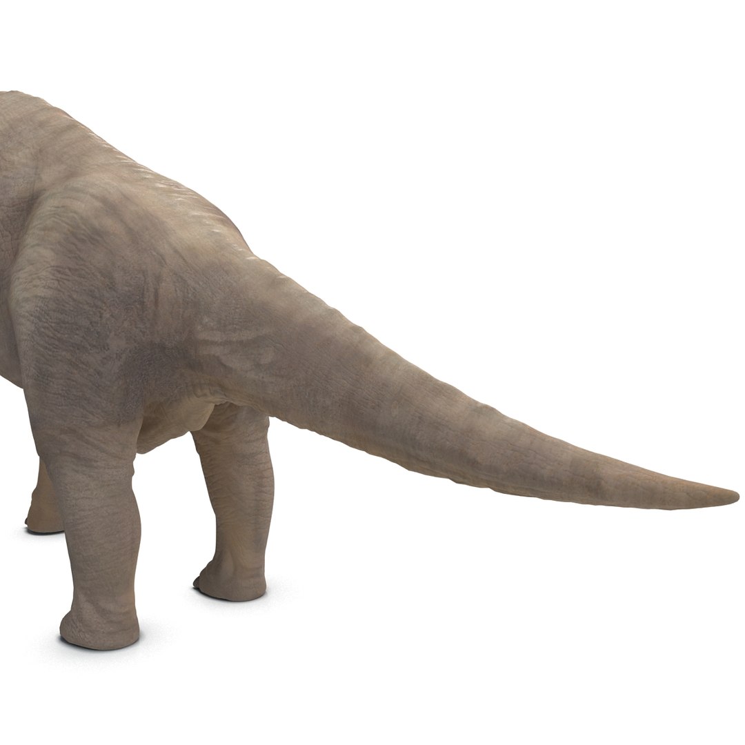 3d brachiosaurus rigged model https://p.turbosquid.com/ts-thumb/eh/EgBjNI/D3NxLjlR/brachiosaurusrigged_31/jpg/1395775135/1920x1080/fit_q87/ee36d3cdd166edb9d1e7b7a77f437bdabedad559/brachiosaurusrigged_31.jpg