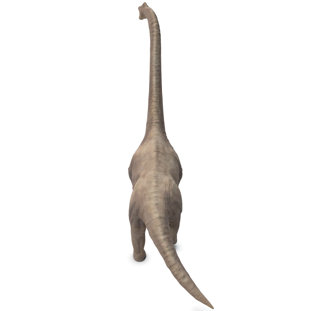 3d brachiosaurus rigged model https://p.turbosquid.com/ts-thumb/eh/EgBjNI/GxInqnh4/brachiosaurusrigged_14/jpg/1395775085/1920x1080/fit_q87/a3ed8dc41a1bc5aa0b72d06b3a4e513062d9294a/brachiosaurusrigged_14.jpg