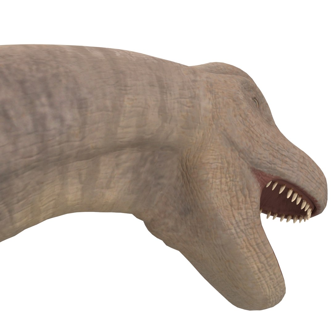 3d brachiosaurus rigged model https://p.turbosquid.com/ts-thumb/eh/EgBjNI/HCkLQUqE/brachiosaurusrigged_45/jpg/1395775188/1920x1080/fit_q87/51437bc8c38b01ee066747125d7911a24379ec6c/brachiosaurusrigged_45.jpg