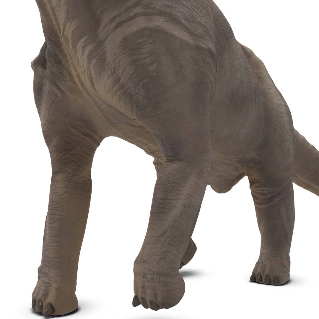 3d brachiosaurus rigged model https://p.turbosquid.com/ts-thumb/eh/EgBjNI/IPli3got/brachiosaurusrigged_35/jpg/1395775151/1920x1080/fit_q87/d63ba47d6b3d280f6626b2b999c425b6ff08a318/brachiosaurusrigged_35.jpg