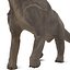 Brachiosaure rigged