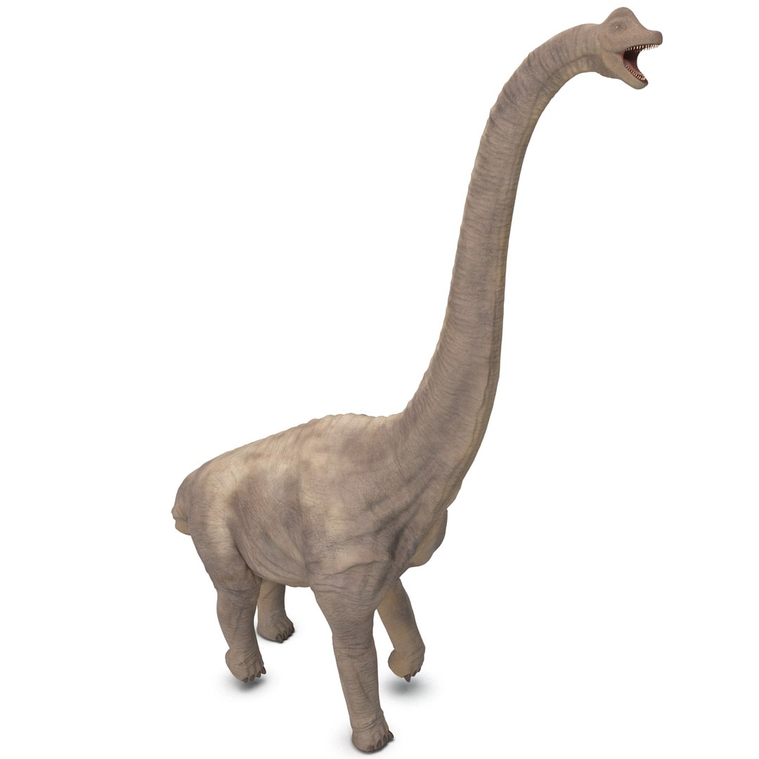 3d brachiosaurus rigged model https://p.turbosquid.com/ts-thumb/eh/EgBjNI/IWsXIU2R/brachiosaurusrigged_22/jpg/1395775108/1920x1080/fit_q87/844951dc5e86a6435d668b10bbff68ed82230fc8/brachiosaurusrigged_22.jpg