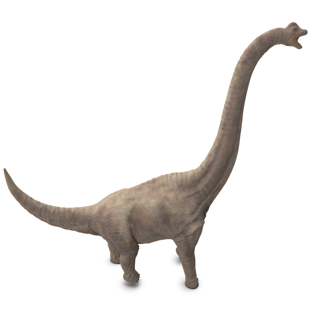 3d brachiosaurus rigged model https://p.turbosquid.com/ts-thumb/eh/EgBjNI/JQXalohv/brachiosaurusrigged_12/jpg/1395775075/1920x1080/fit_q87/e88c768843daf1c9cf1924ec74fddd46ab02edad/brachiosaurusrigged_12.jpg