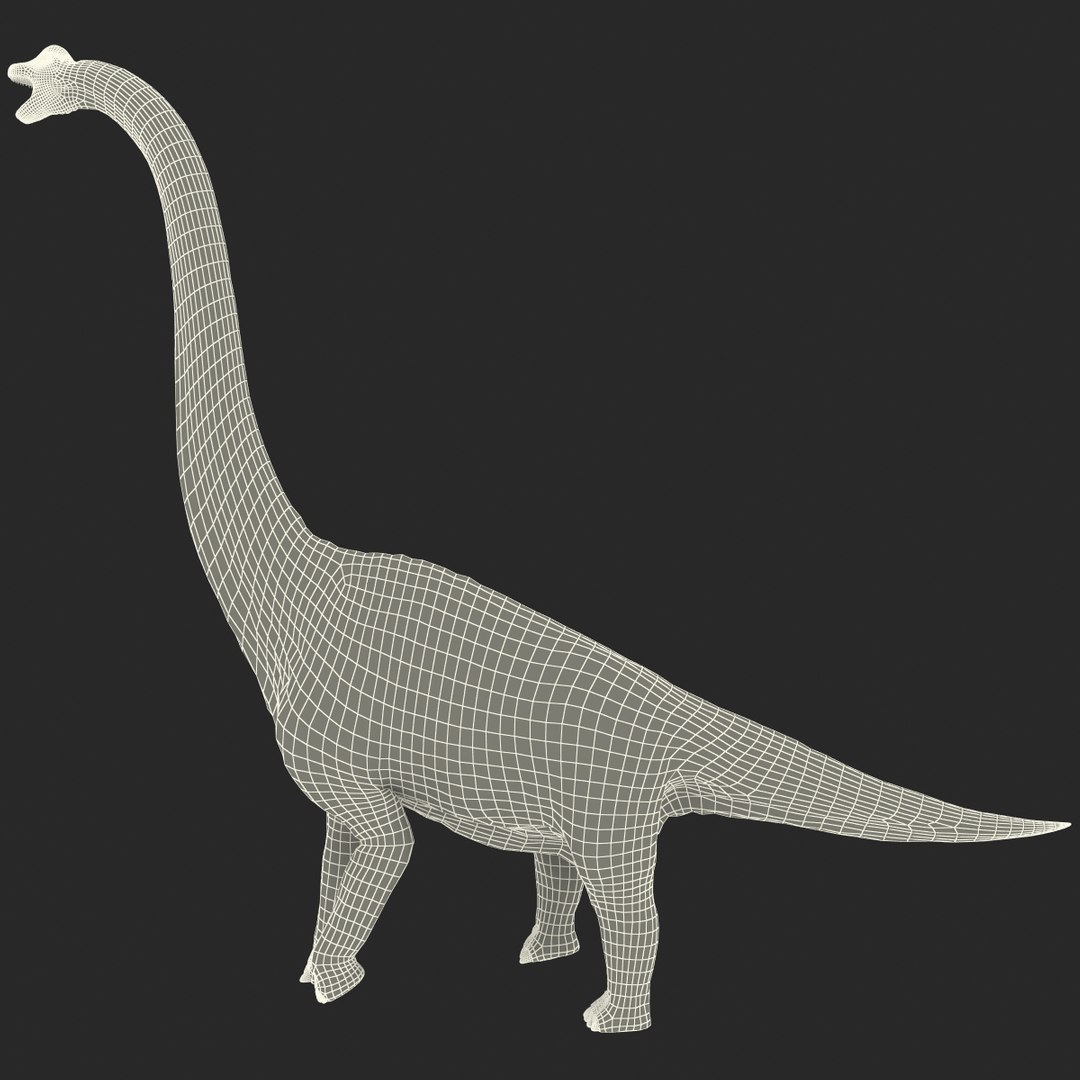 3d brachiosaurus rigged model https://p.turbosquid.com/ts-thumb/eh/EgBjNI/S3iaSs3Q/brachiosaurusrigged_195/jpg/1395775598/1920x1080/fit_q87/b93d8442448900c65627cb0b9331b8e1018e24dd/brachiosaurusrigged_195.jpg