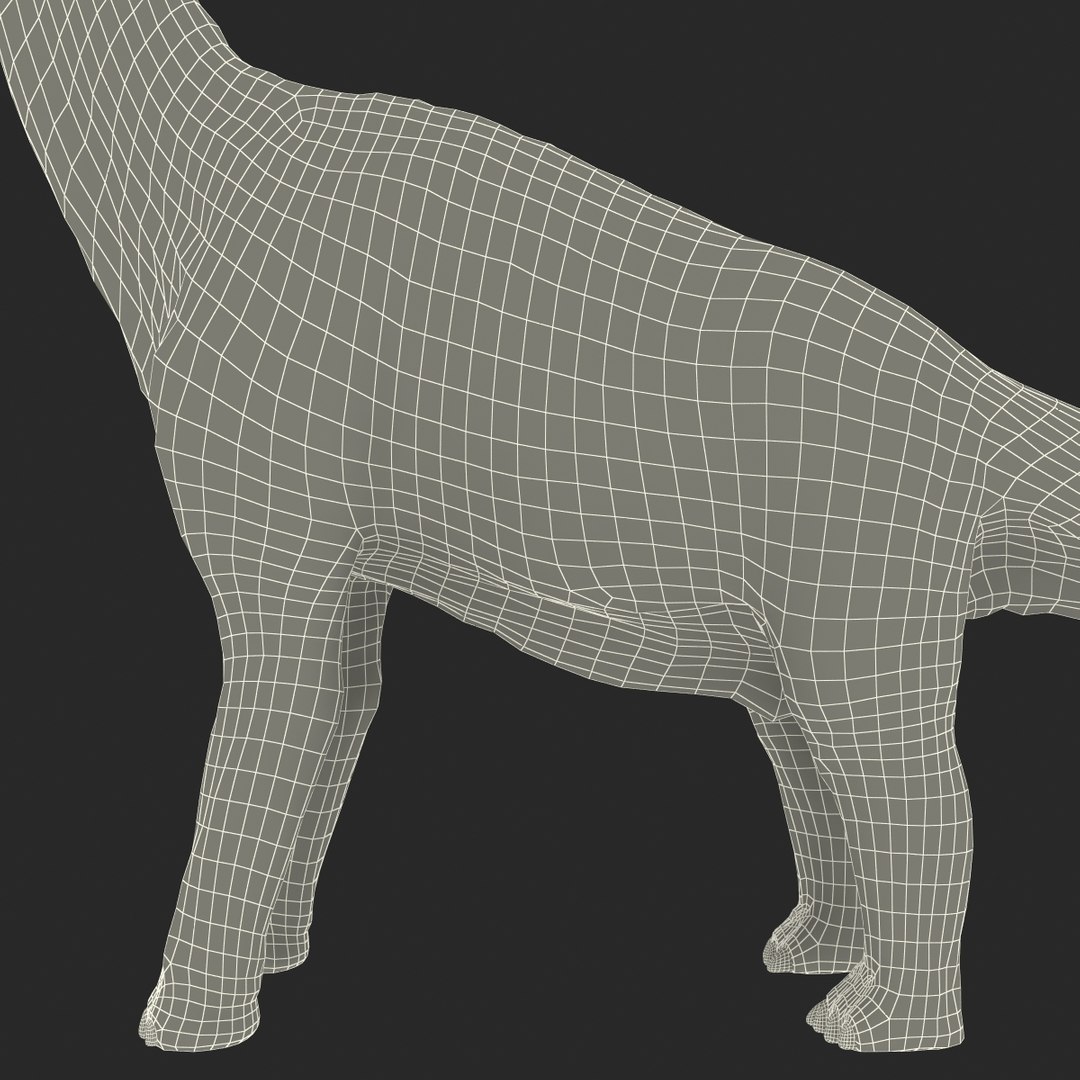3d brachiosaurus rigged model https://p.turbosquid.com/ts-thumb/eh/EgBjNI/SSL32FZi/brachiosaurusrigged_206/jpg/1395775626/1920x1080/fit_q87/88e51c2aa9016810f3bce7398e4316242563ed77/brachiosaurusrigged_206.jpg