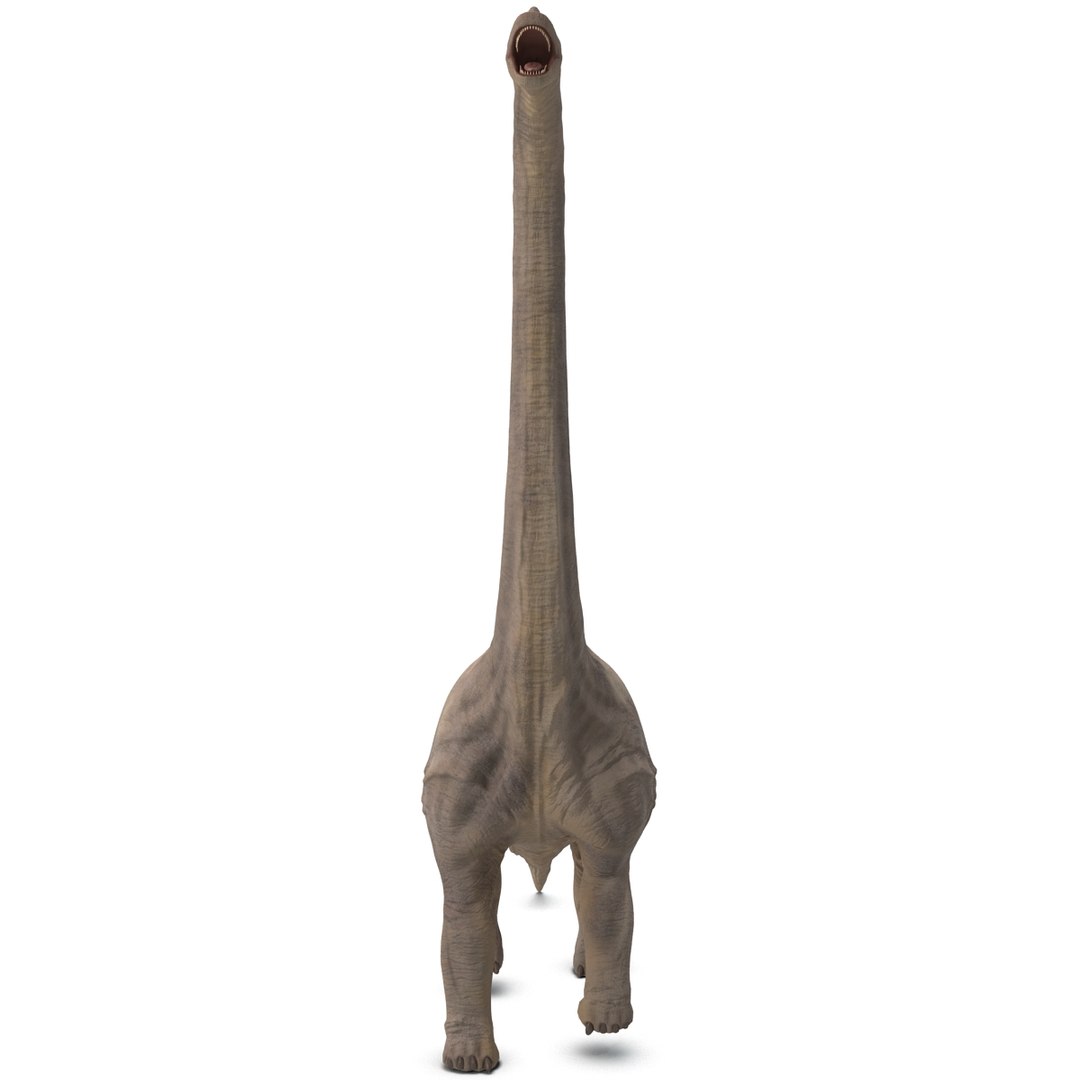 3d brachiosaurus rigged model https://p.turbosquid.com/ts-thumb/eh/EgBjNI/SlMecMQN/brachiosaurusrigged_10/jpg/1395775069/1920x1080/fit_q87/74843f04d175fbc521f8864c8ccd8a5d3290af62/brachiosaurusrigged_10.jpg