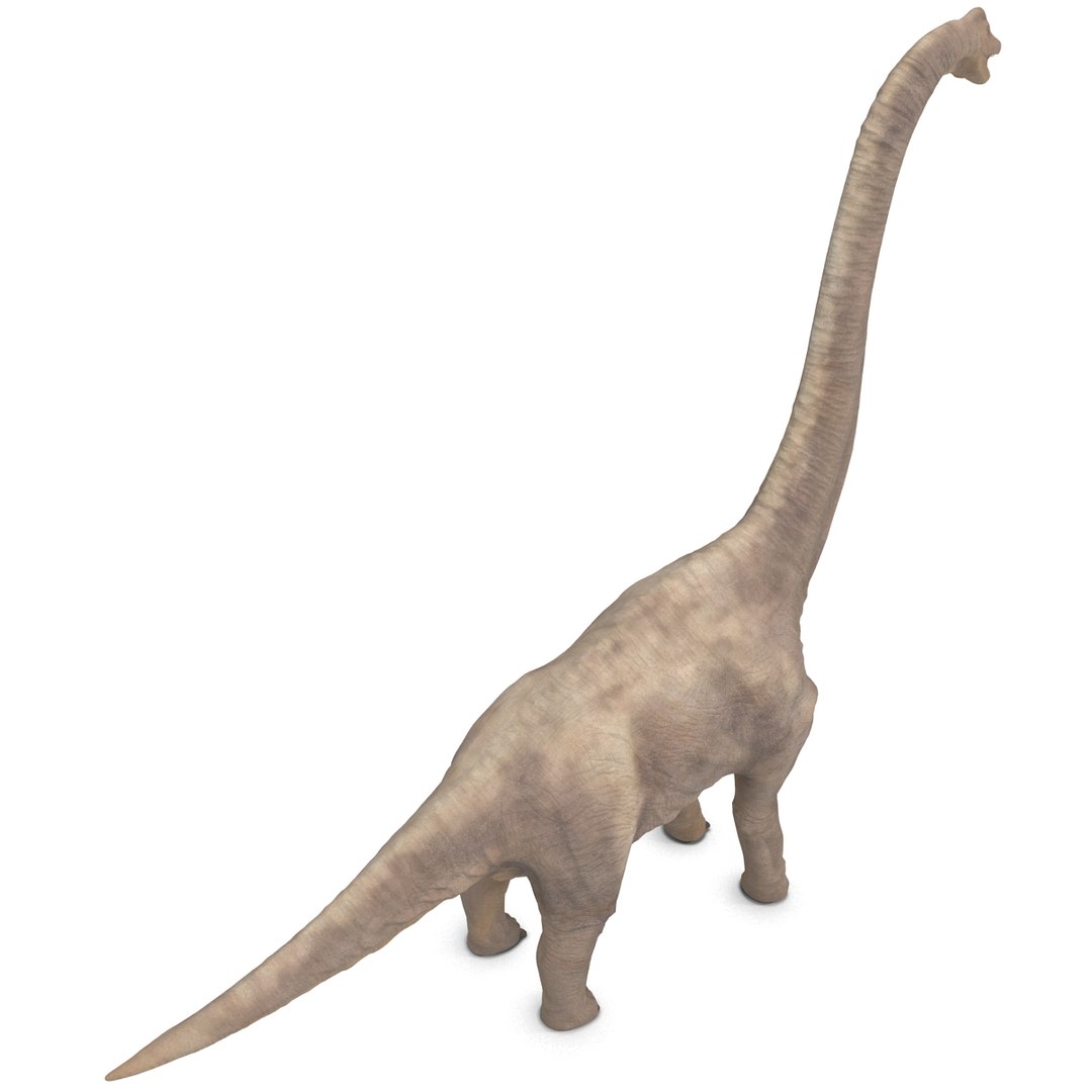 3d brachiosaurus rigged model https://p.turbosquid.com/ts-thumb/eh/EgBjNI/TfXMRj8P/brachiosaurusrigged_25/jpg/1395775117/1920x1080/fit_q87/b43c4edea0e33bcdb93f97f196687edffd54f935/brachiosaurusrigged_25.jpg