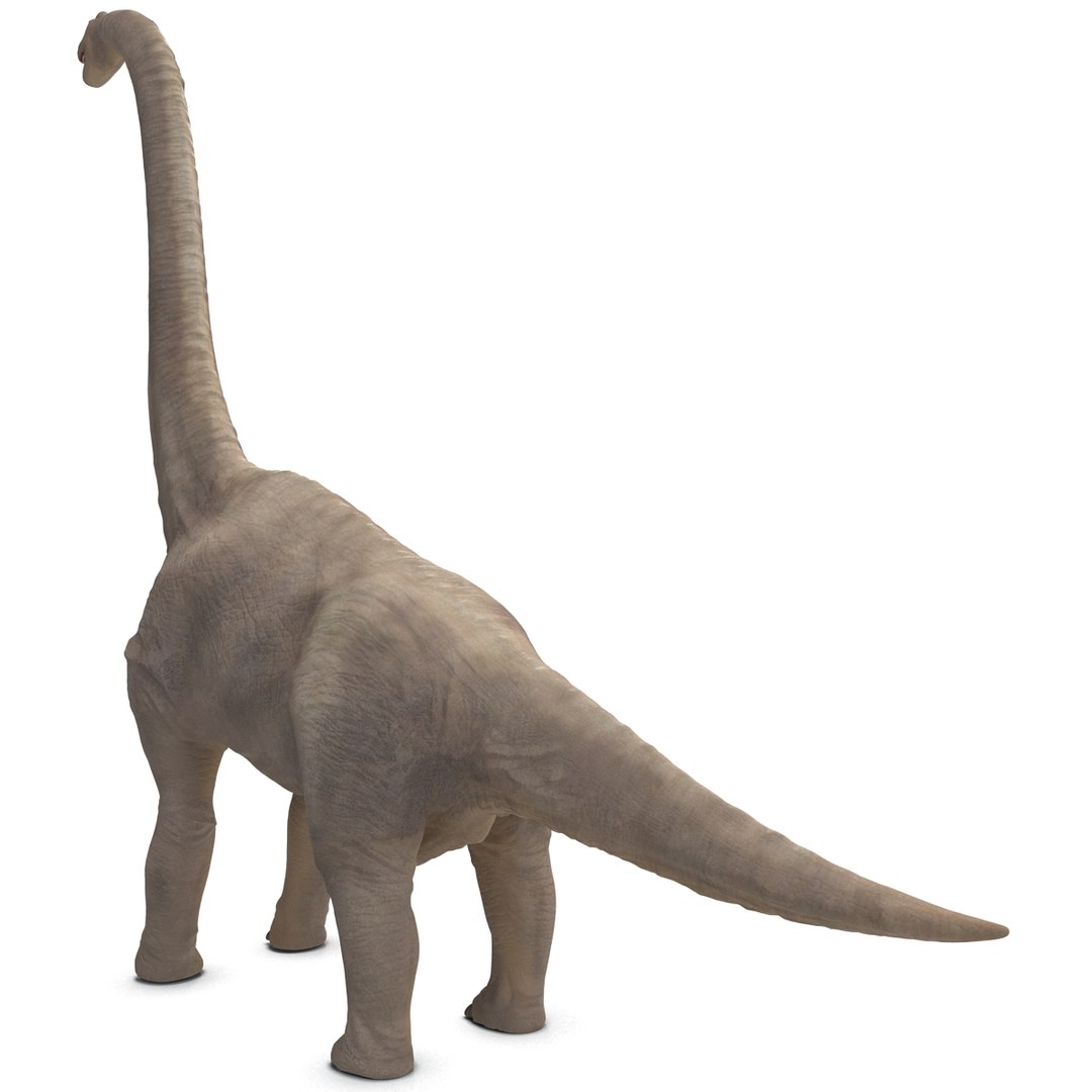 3d brachiosaurus rigged model https://p.turbosquid.com/ts-thumb/eh/EgBjNI/UNbaML8m/brachiosaurusrigged_27/jpg/1395775123/1920x1080/fit_q87/9923761395f6976ac82dc5d29c8e4b372e3cd3c0/brachiosaurusrigged_27.jpg