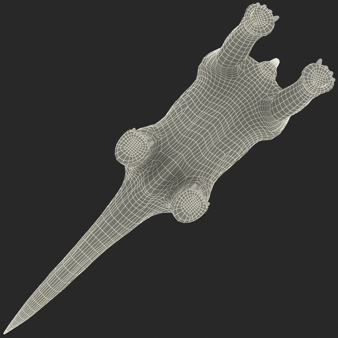 3d brachiosaurus rigged model https://p.turbosquid.com/ts-thumb/eh/EgBjNI/cBkAsAjb/brachiosaurusrigged_198/jpg/1395775604/1920x1080/fit_q87/ac987cb71da122f154c4f1d609941b94ed596f5d/brachiosaurusrigged_198.jpg