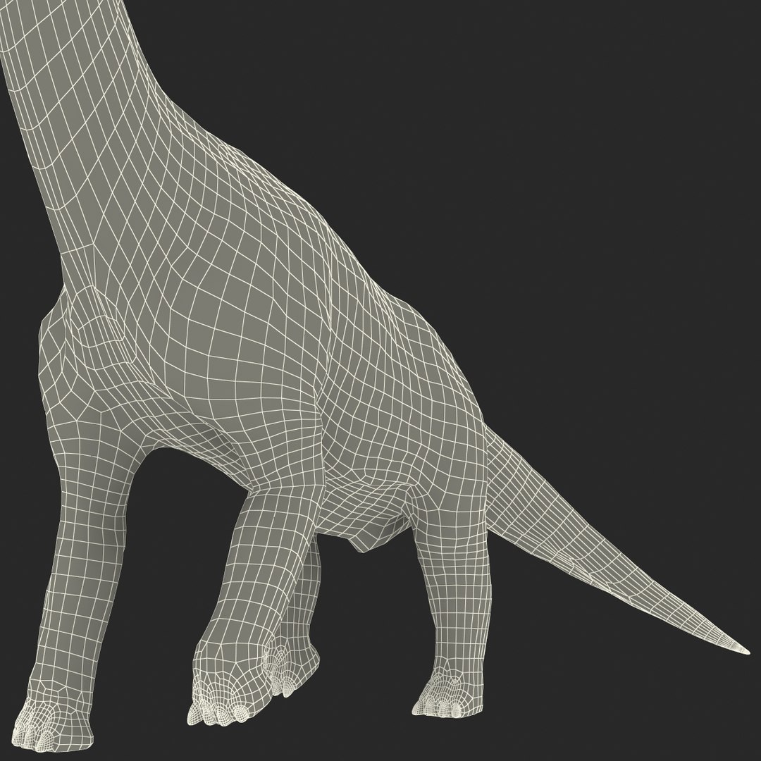 3d brachiosaurus rigged model https://p.turbosquid.com/ts-thumb/eh/EgBjNI/dGeOfPW0/brachiosaurusrigged_210/jpg/1395775639/1920x1080/fit_q87/0aa150de00e2ca397c6afa778efb343b9e023224/brachiosaurusrigged_210.jpg