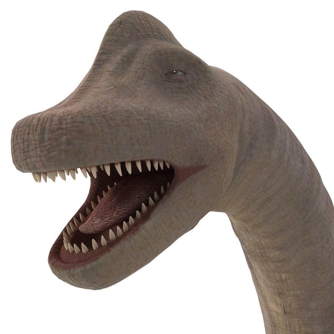 3d brachiosaurus rigged model https://p.turbosquid.com/ts-thumb/eh/EgBjNI/dlaiGBnp/brachiosaurusrigged_41/jpg/1395775178/1920x1080/fit_q87/24599afb80694fb3464c22772088fae02360b60d/brachiosaurusrigged_41.jpg