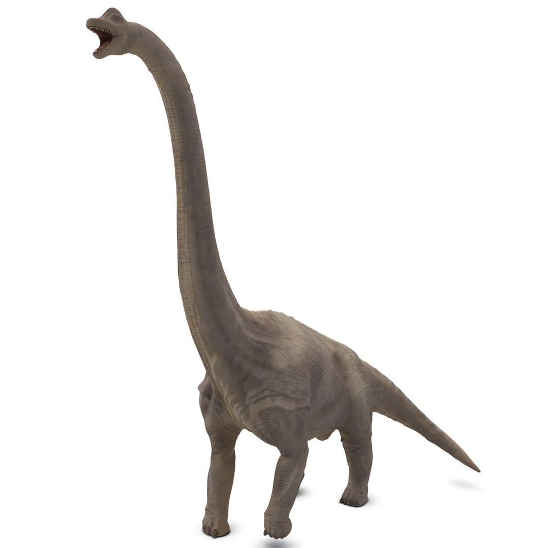 3d brachiosaurus rigged model https://p.turbosquid.com/ts-thumb/eh/EgBjNI/dmpoiHCz/brachiosaurusrigged_20/jpg/1395775101/1920x1080/fit_q87/4264ae709eb2d743485b11a3655e98e13d4b0dd1/brachiosaurusrigged_20.jpg