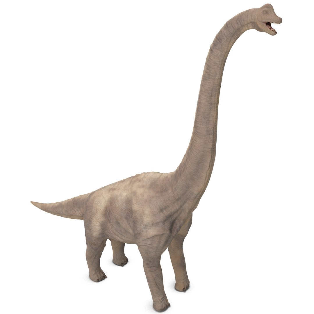 3d brachiosaurus rigged model https://p.turbosquid.com/ts-thumb/eh/EgBjNI/e8aBcfas/brachiosaurusrigged_21/jpg/1395775104/1920x1080/fit_q87/59ac9f3bcdb39cee30111d94f0d047e4ba050b62/brachiosaurusrigged_21.jpg