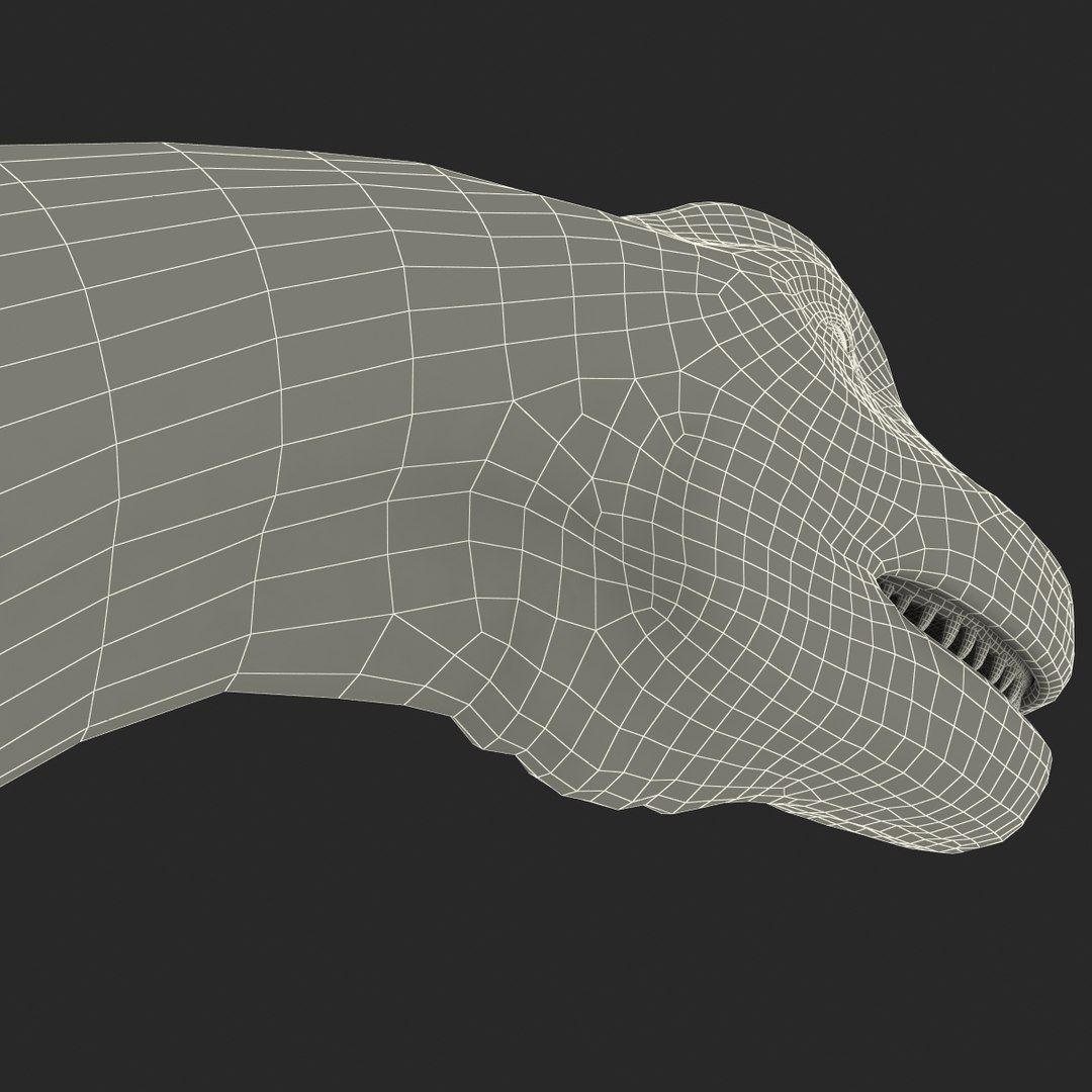 3d brachiosaurus rigged model https://p.turbosquid.com/ts-thumb/eh/EgBjNI/hy11q8V3/brachiosaurusrigged_218/jpg/1395775660/1920x1080/fit_q87/81f31995c950c67949e6a48048d0e8686ee6b5ae/brachiosaurusrigged_218.jpg