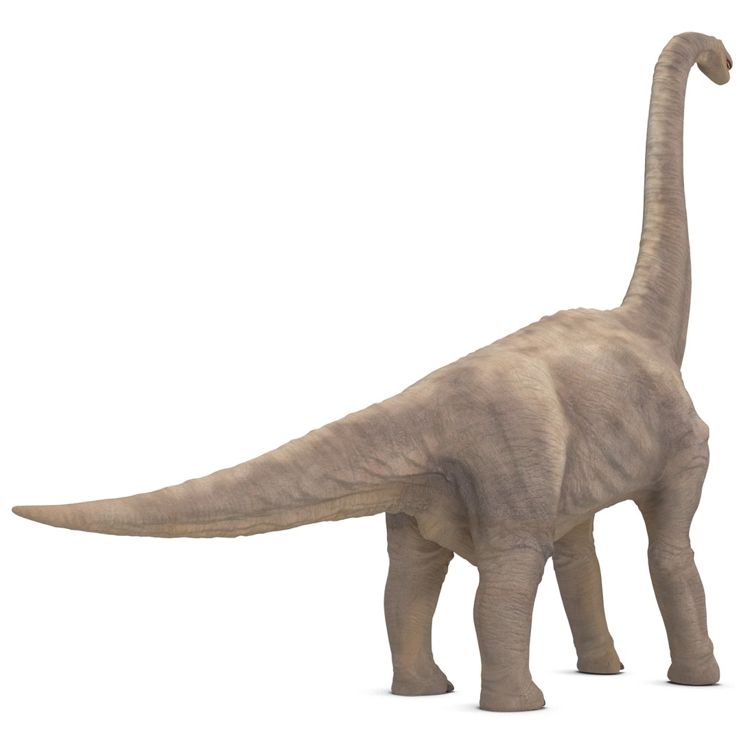 3d brachiosaurus rigged model https://p.turbosquid.com/ts-thumb/eh/EgBjNI/if7vGhcV/brachiosaurusrigged_23/jpg/1395775111/1920x1080/fit_q87/2b4fbd5e42ebd6db1691d25da71554e8c67dfc48/brachiosaurusrigged_23.jpg