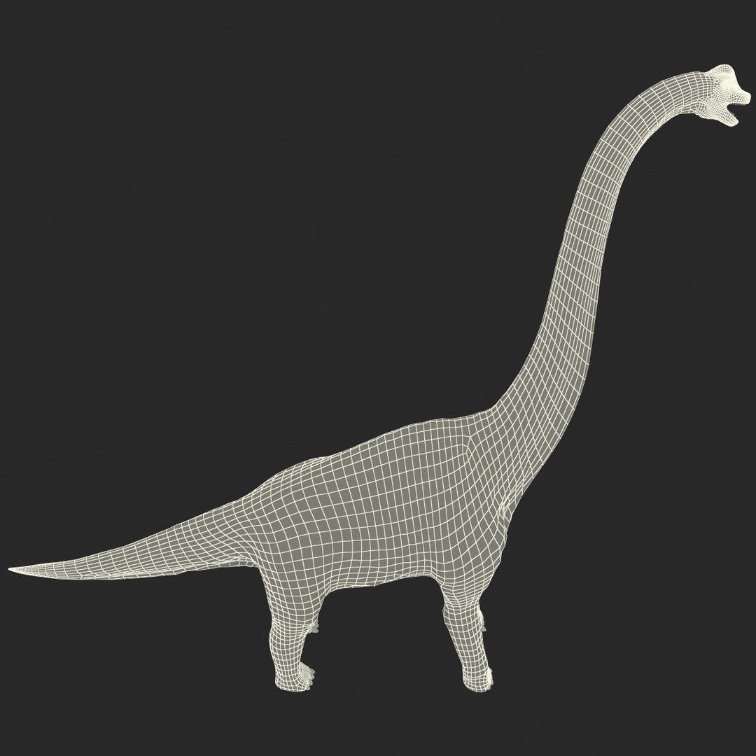 3d brachiosaurus rigged model https://p.turbosquid.com/ts-thumb/eh/EgBjNI/ilWrBkFn/brachiosaurusrigged_197/jpg/1395775600/1920x1080/fit_q87/8112616203f1bfe79db9cf6281a2f96297503845/brachiosaurusrigged_197.jpg