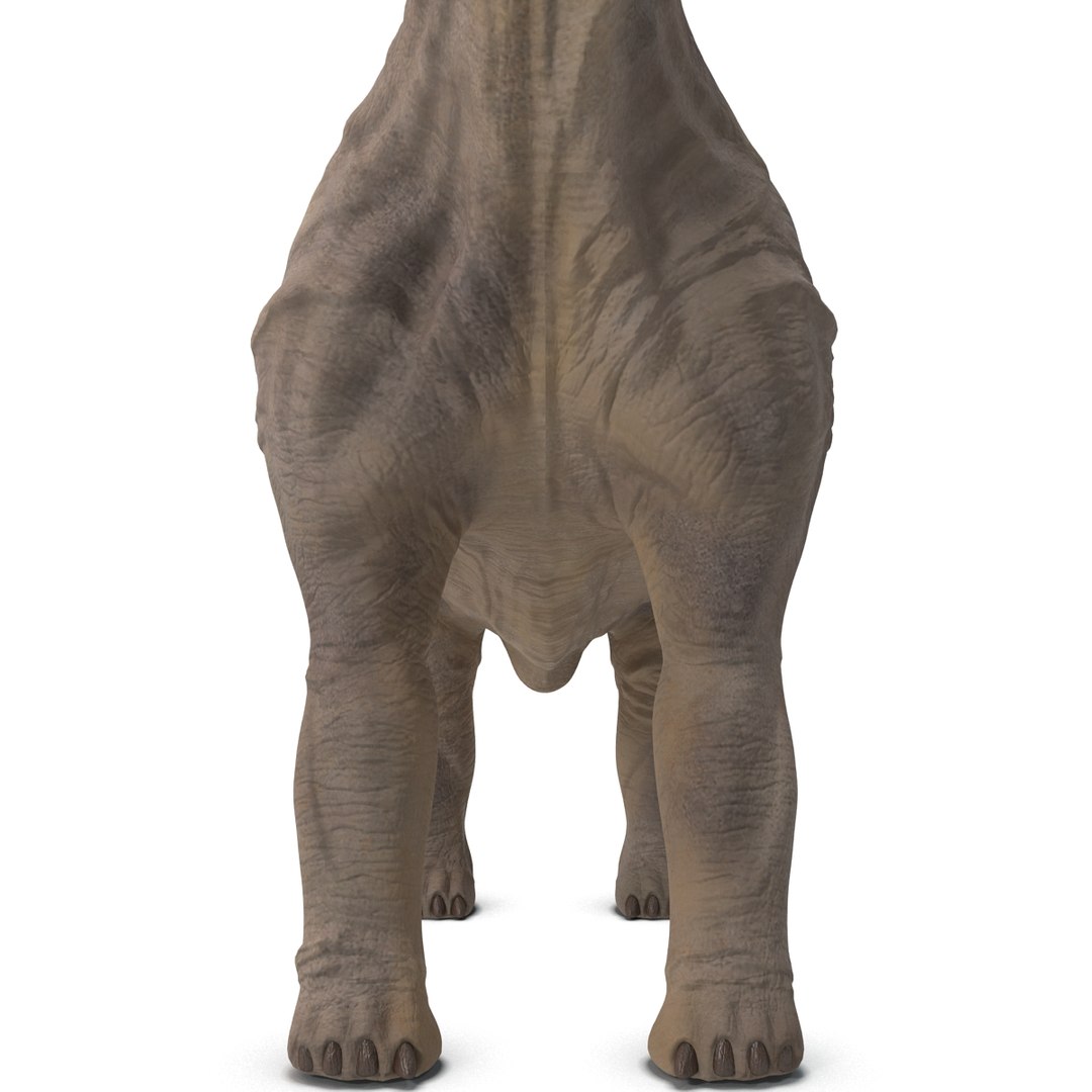 3d brachiosaurus rigged model https://p.turbosquid.com/ts-thumb/eh/EgBjNI/llRu05IU/brachiosaurusrigged_38/jpg/1395775166/1920x1080/fit_q87/e31ff6d253e3191eb85ab7fcd81ff83b76414516/brachiosaurusrigged_38.jpg