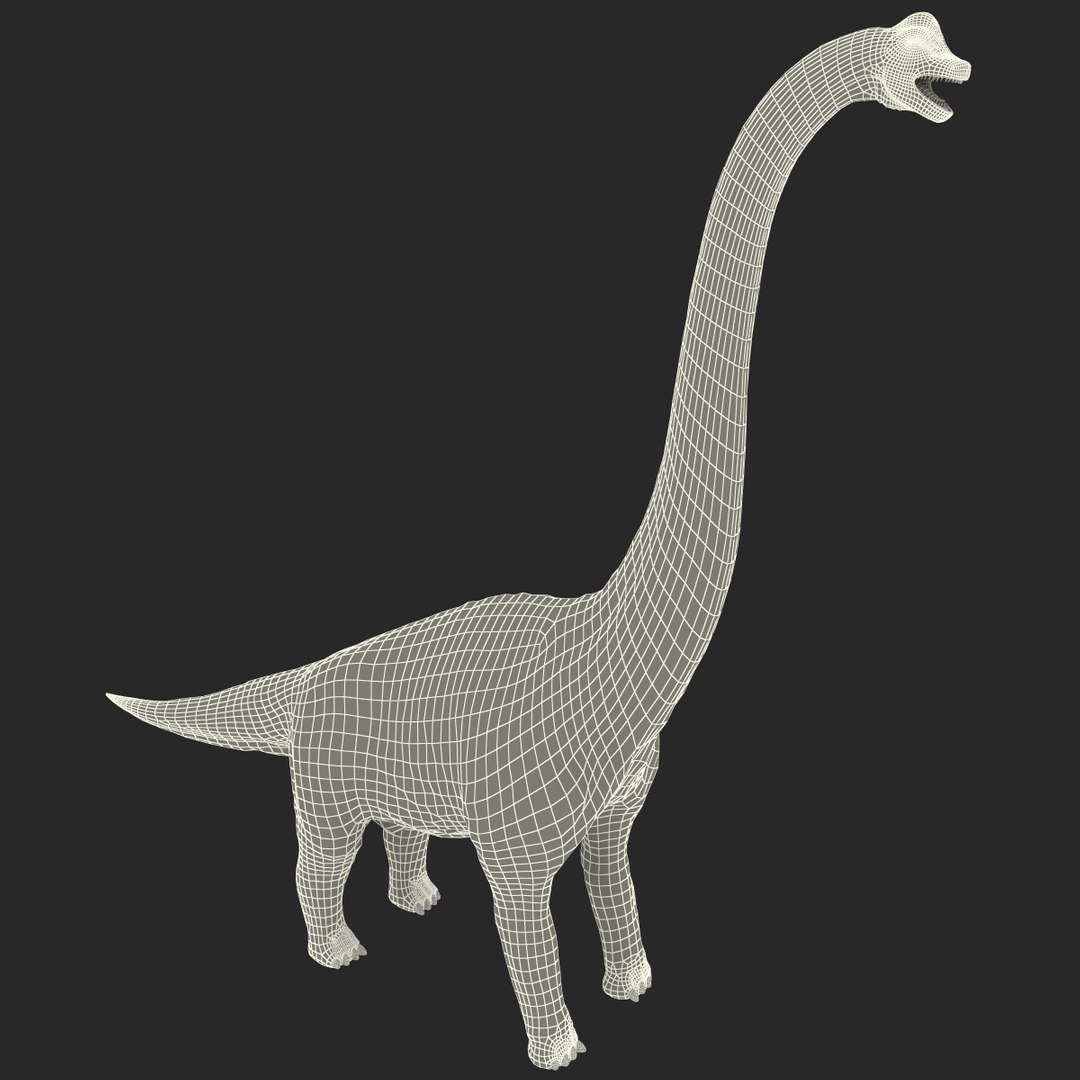 3d brachiosaurus rigged model https://p.turbosquid.com/ts-thumb/eh/EgBjNI/mLfyFULr/brachiosaurusrigged_200/jpg/1395775610/1920x1080/fit_q87/cf9ce8a843a631c2b7a475f11eba024b8a8139aa/brachiosaurusrigged_200.jpg