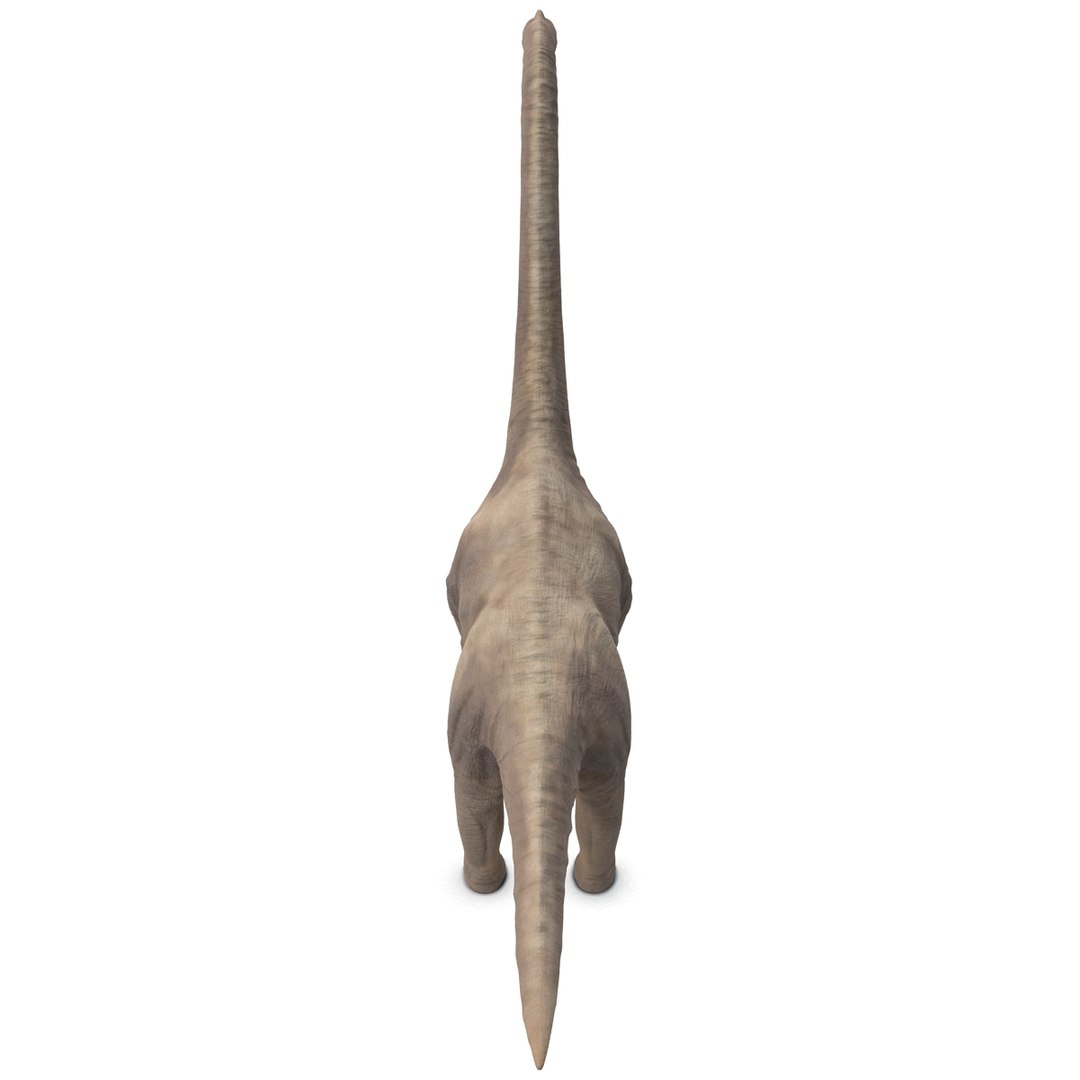 3d brachiosaurus rigged model https://p.turbosquid.com/ts-thumb/eh/EgBjNI/txSmBsNu/brachiosaurusrigged_13/jpg/1395775079/1920x1080/fit_q87/7d345b00011214963524b12790cb357e638ba76e/brachiosaurusrigged_13.jpg