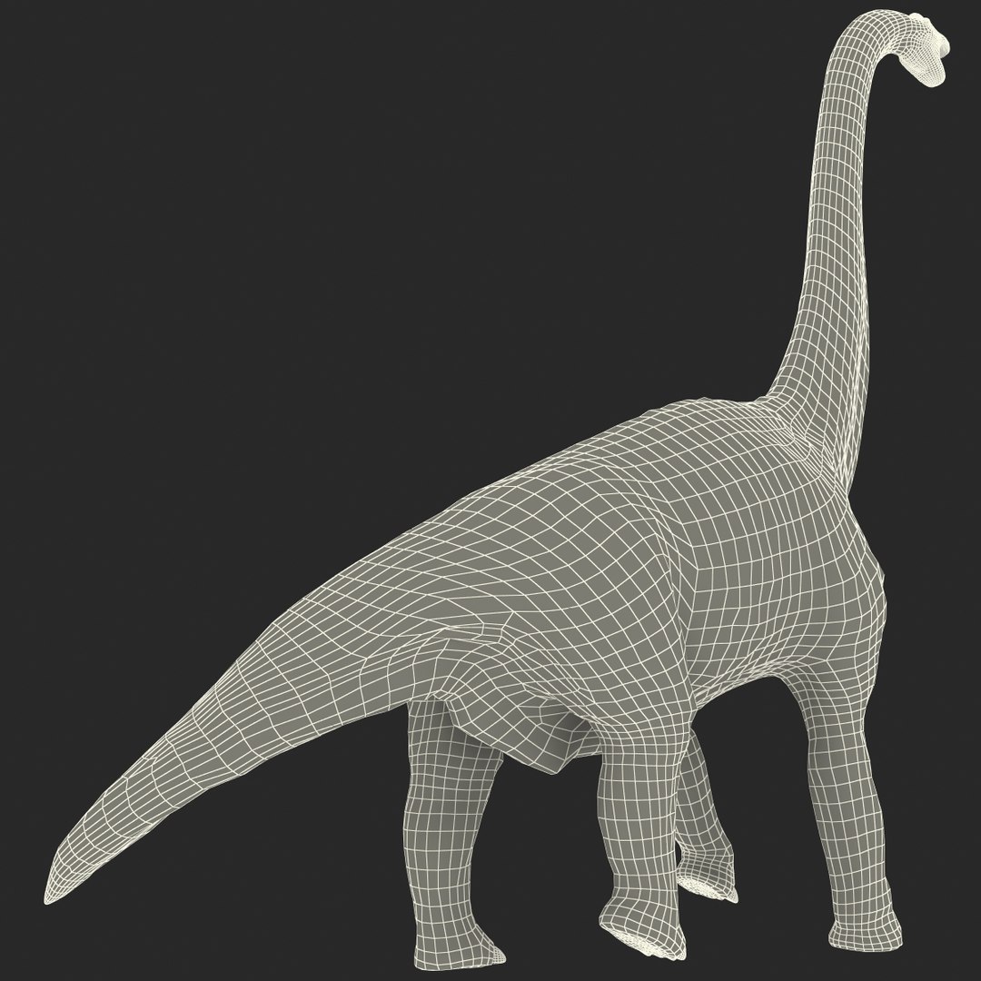 3d brachiosaurus rigged model https://p.turbosquid.com/ts-thumb/eh/EgBjNI/tyS5MGTu/brachiosaurusrigged_202/jpg/1395775619/1920x1080/fit_q87/241e6bfbd9233003c9ea662cc494a694d10da37e/brachiosaurusrigged_202.jpg