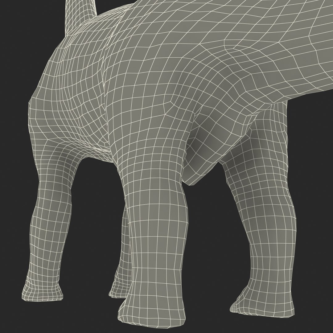 3d brachiosaurus rigged model https://p.turbosquid.com/ts-thumb/eh/EgBjNI/uGNjuuNQ/brachiosaurusrigged_211/jpg/1395775645/1920x1080/fit_q87/ef7b6f61bed564e53efa35eab305ee775e6f6f68/brachiosaurusrigged_211.jpg