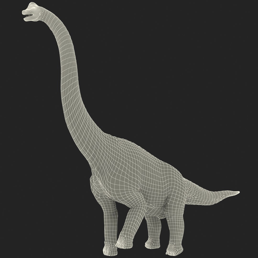 3d brachiosaurus rigged model https://p.turbosquid.com/ts-thumb/eh/EgBjNI/vGrLuJEk/brachiosaurusrigged_193/jpg/1395775593/1920x1080/fit_q87/4a00d4bf9bb44862375d33b7aa28c9fa8d36d5f4/brachiosaurusrigged_193.jpg