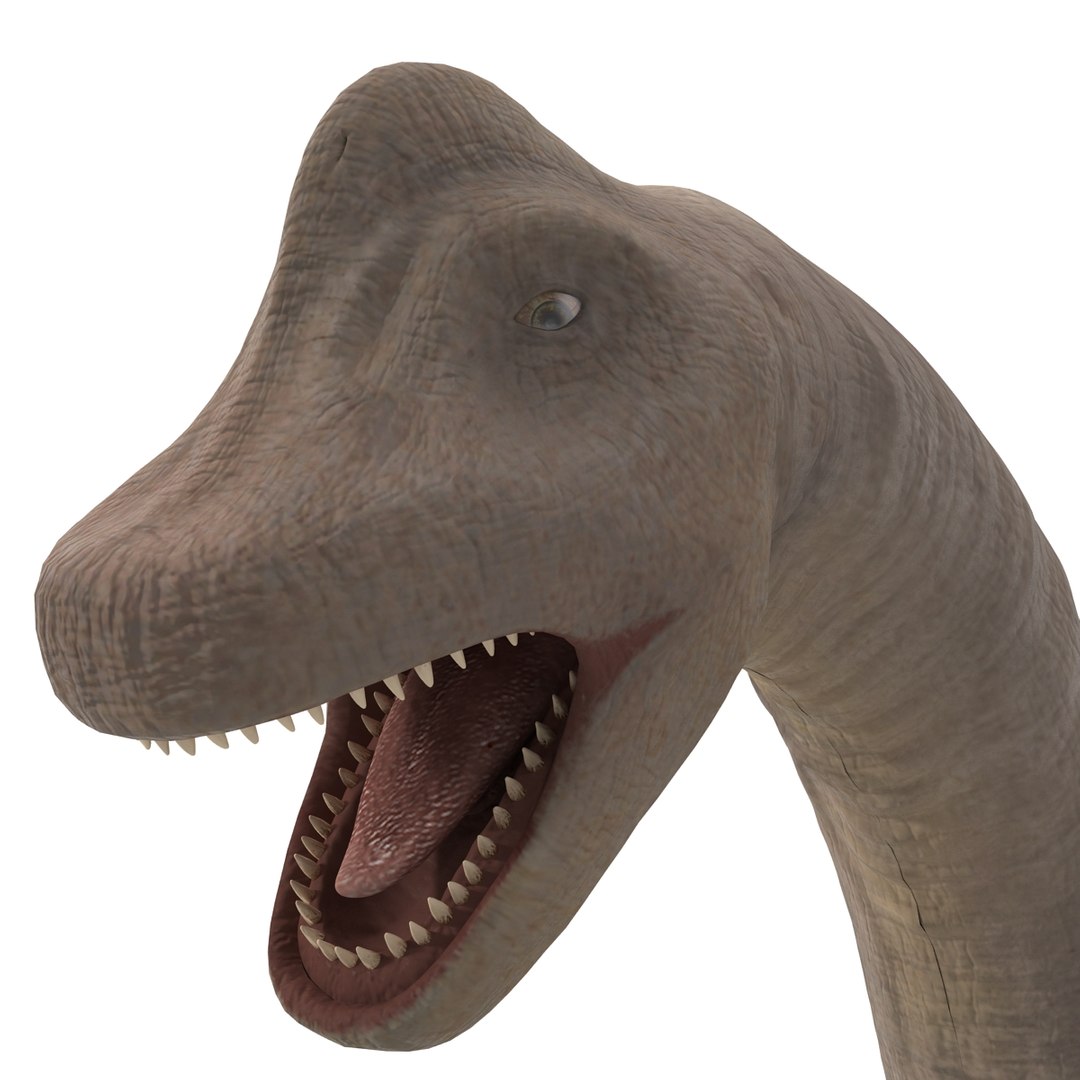 3d brachiosaurus rigged model https://p.turbosquid.com/ts-thumb/eh/EgBjNI/vvbF2d1O/brachiosaurusrigged_43/jpg/1395775183/1920x1080/fit_q87/eb0f34ab923056d4797c88795ea8e6cb84c198bf/brachiosaurusrigged_43.jpg
