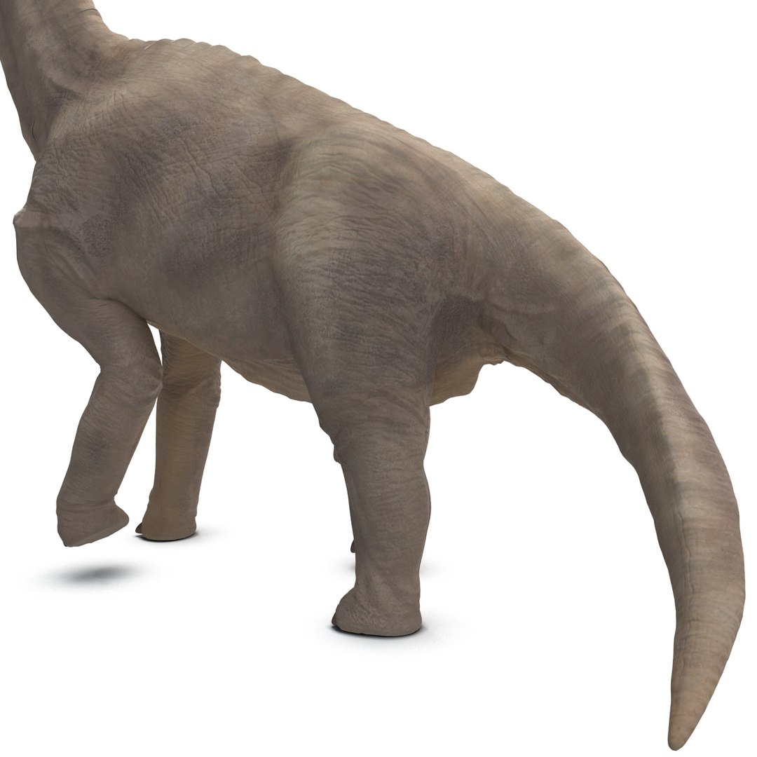 3d brachiosaurus rigged model https://p.turbosquid.com/ts-thumb/eh/EgBjNI/wGUWdxmN/brachiosaurusrigged_32/jpg/1395775141/1920x1080/fit_q87/2961dbd622de58f64aca04767749fd3d52ddfbba/brachiosaurusrigged_32.jpg