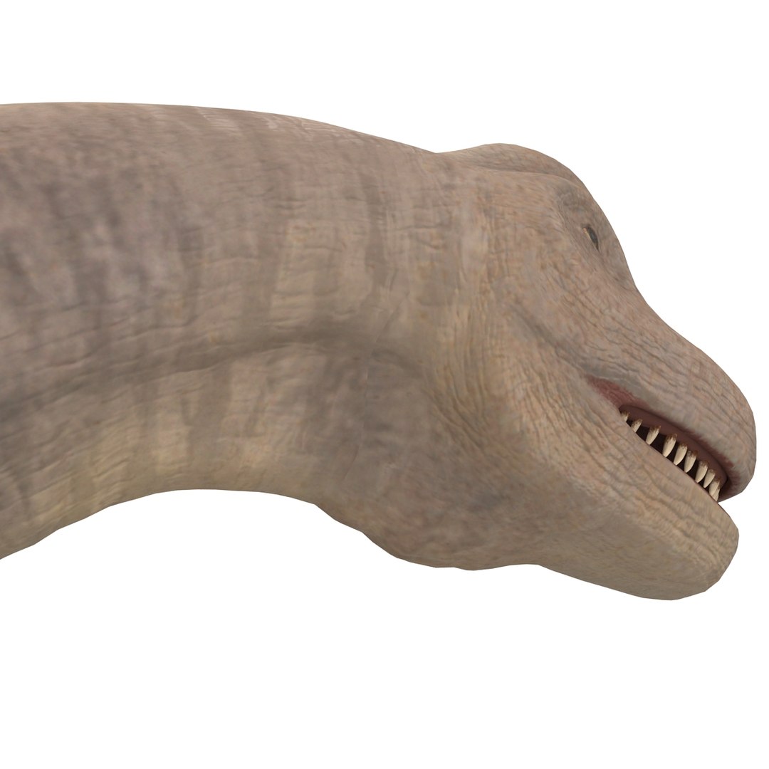 3d brachiosaurus rigged model https://p.turbosquid.com/ts-thumb/eh/EgBjNI/xeQC9dpH/brachiosaurusrigged_46/jpg/1395775193/1920x1080/fit_q87/6f5ef6a47a52cbeb181a334e96b8e5a70abbc851/brachiosaurusrigged_46.jpg