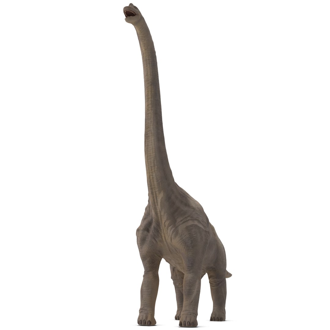3d brachiosaurus rigged model https://p.turbosquid.com/ts-thumb/eh/EgBjNI/xlg2trAa/brachiosaurusrigged_19/jpg/1395775101/1920x1080/fit_q87/86129a1b53457bd4d319369e9115d25730a94d1b/brachiosaurusrigged_19.jpg