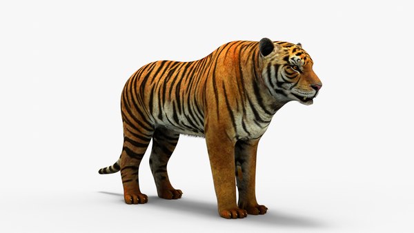 Animado Tigre 3D model - Baixar Animais no